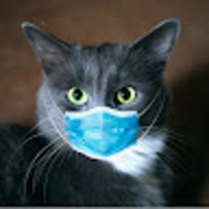 Meet your Posher, Disco